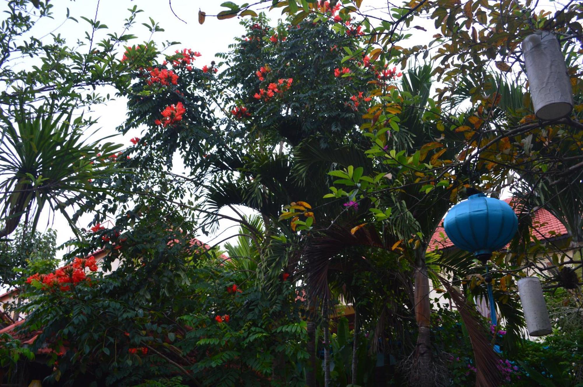 Villa Orchid Garden Riverside Χόι Αν Εξωτερικό φωτογραφία