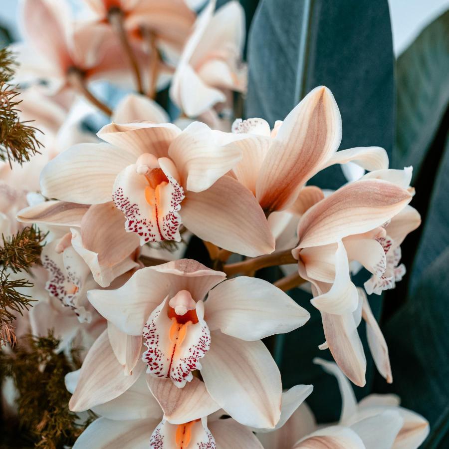 Villa Orchid Garden Riverside Χόι Αν Εξωτερικό φωτογραφία